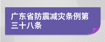 广东省防震减灾条例第三十八条