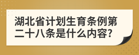 湖北省计划生育条例第二十八条是什么内容?