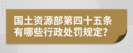 国土资源部第四十五条有哪些行政处罚规定？