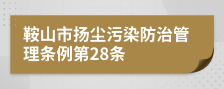 鞍山市扬尘污染防治管理条例第28条