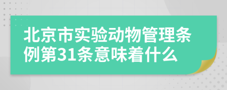 北京市实验动物管理条例第31条意味着什么