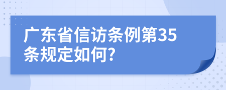 广东省信访条例第35条规定如何?