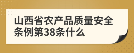 山西省农产品质量安全条例第38条什么