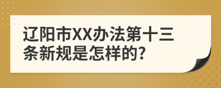 辽阳市XX办法第十三条新规是怎样的?