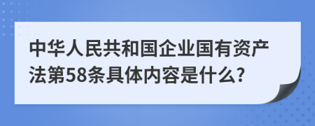 中华人民共和国企业国有资产法第58条具体内容是什么?