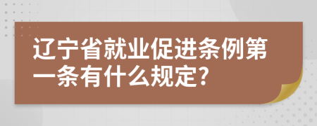 辽宁省就业促进条例第一条有什么规定?