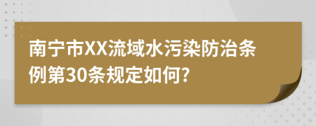 南宁市XX流域水污染防治条例第30条规定如何?