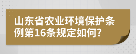 山东省农业环境保护条例第16条规定如何?