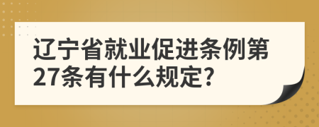 辽宁省就业促进条例第27条有什么规定?