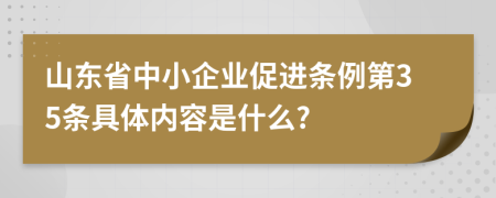 山东省中小企业促进条例第35条具体内容是什么?