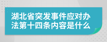 湖北省突发事件应对办法第十四条内容是什么