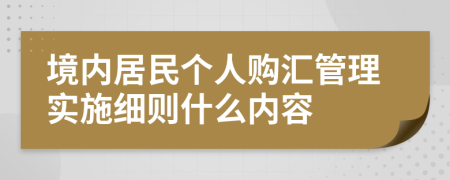 境内居民个人购汇管理实施细则什么内容