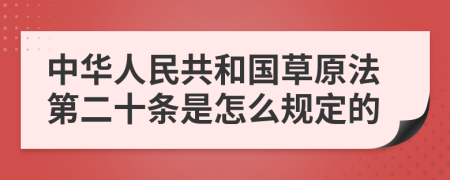 中华人民共和国草原法第二十条是怎么规定的