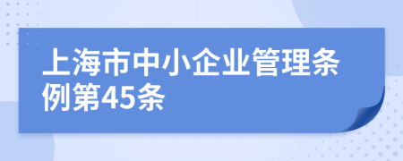 上海市中小企业管理条例第45条