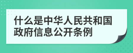 什么是中华人民共和国政府信息公开条例