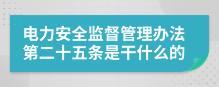 电力安全监督管理办法第二十五条是干什么的