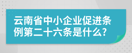 云南省中小企业促进条例第二十六条是什么?