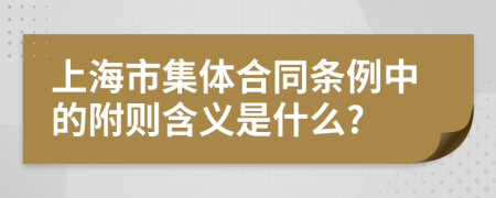 上海市集体合同条例中的附则含义是什么?