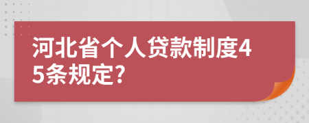 河北省个人贷款制度45条规定?