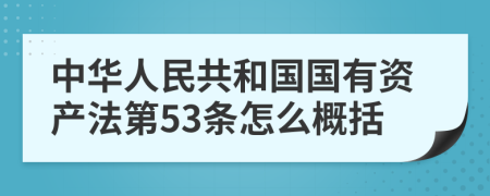 中华人民共和国国有资产法第53条怎么概括