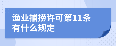 渔业捕捞许可第11条有什么规定