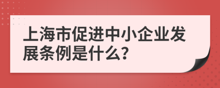 上海市促进中小企业发展条例是什么？