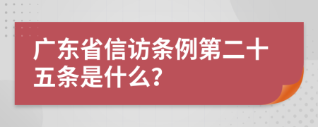 广东省信访条例第二十五条是什么？