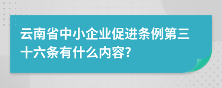 云南省中小企业促进条例第三十六条有什么内容?