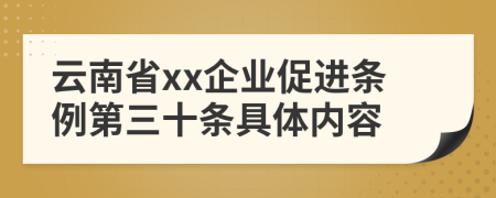 云南省xx企业促进条例第三十条具体内容