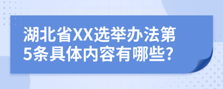 湖北省XX选举办法第5条具体内容有哪些?