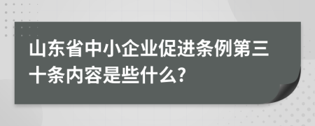 山东省中小企业促进条例第三十条内容是些什么?