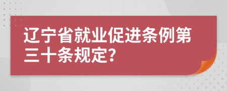 辽宁省就业促进条例第三十条规定？