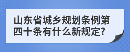 山东省城乡规划条例第四十条有什么新规定?