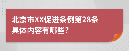 北京市XX促进条例第28条具体内容有哪些?