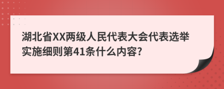 湖北省XX两级人民代表大会代表选举实施细则第41条什么内容?