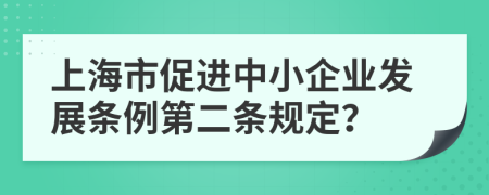 上海市促进中小企业发展条例第二条规定？