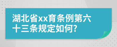 湖北省xx育条例第六十三条规定如何?