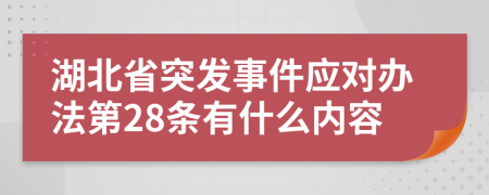 湖北省突发事件应对办法第28条有什么内容