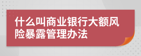 什么叫商业银行大额风险暴露管理办法