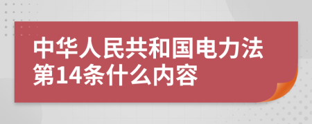 中华人民共和国电力法第14条什么内容