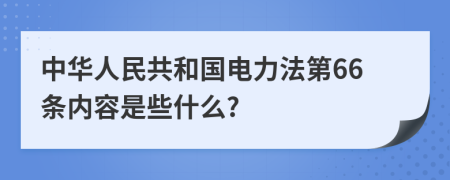 中华人民共和国电力法第66条内容是些什么?