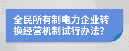 全民所有制电力企业转换经营机制试行办法？