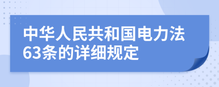 中华人民共和国电力法63条的详细规定
