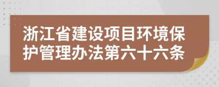 浙江省建设项目环境保护管理办法第六十六条