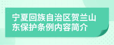 宁夏回族自治区贺兰山东保护条例内容简介