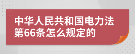 中华人民共和国电力法第66条怎么规定的