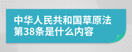 中华人民共和国草原法第38条是什么内容