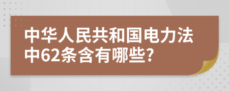 中华人民共和国电力法中62条含有哪些?