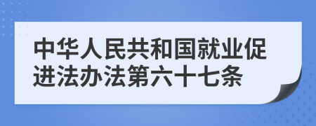 中华人民共和国就业促进法办法第六十七条