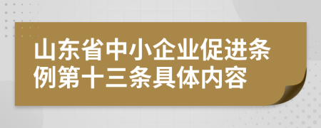 山东省中小企业促进条例第十三条具体内容